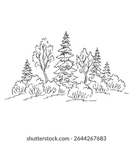 Paisagem natural com floresta. Ilustração de vetor desenhada à mão.