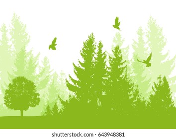 Nature landscape with green firs and birds. Vector floral background.