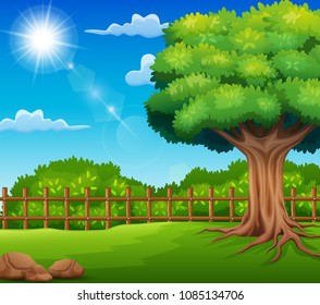 Nature landscape with green meadow and sunlight