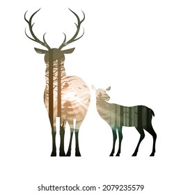 Nature Landscape Inside of Silhouette of the Noble Deer Family. Pine Forest, Mount, Flying Birds, and the Rays of the Morning Sun