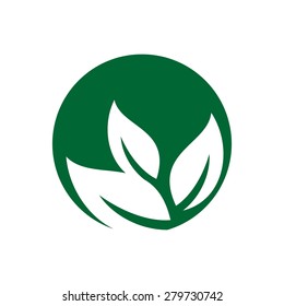Plantilla del logotipo de la ecología de la botánica de la hoja de la naturaleza en Vector