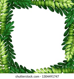 Nature leaf branch border illustration