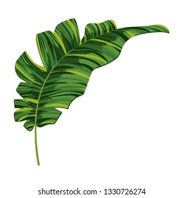 nature leaf cartoon