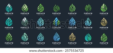 Nature leaf drop logo design collection. Nature leaf water logo template.
