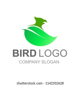 Nature leaf and eagle logo, bird logo design vector