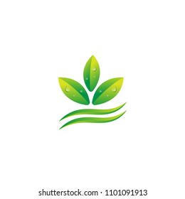nature leaf eco vector logo template