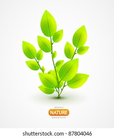 Nature leaf fresh background