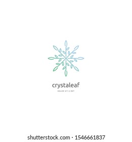 nature leaf ice crystal icon vector logo template