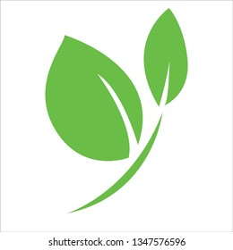 Nature leaf icon