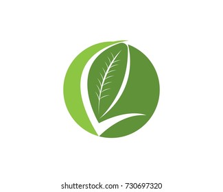 Nature leaf icon design template