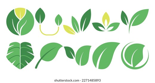 Nature Leaf Icon Illustration Set
