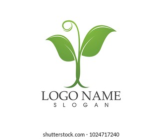 Nature leaf icon sign logo