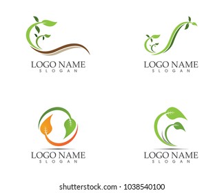 Nature leaf icon sign logo