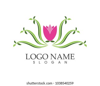 Nature leaf icon sign logo