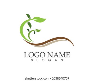 Nature leaf icon sign logo