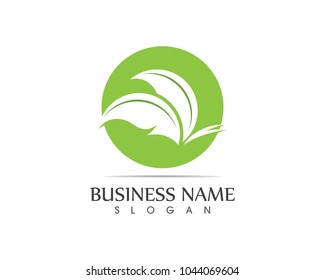Nature leaf icon sign logo
