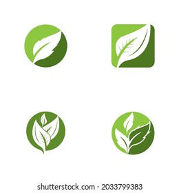 Nature leaf icon and symbol template vector