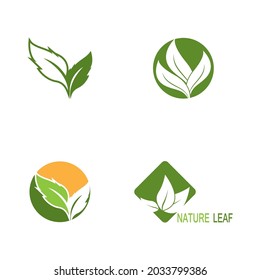 Nature leaf icon and symbol template vector