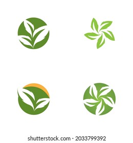 Icono de hoja de naturaleza y vector de plantilla de símbolo