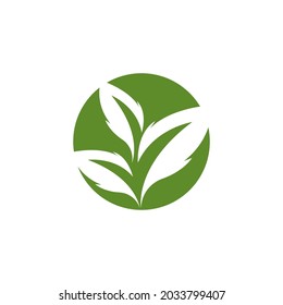 Icono de hoja de naturaleza y vector de plantilla de símbolo