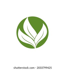 Nature leaf icon and symbol template vector