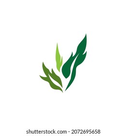 Icono de hoja de naturaleza y vector de plantilla de símbolo