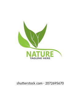 Naturblattsymbol und Symbolvorlage, Vektorgrafik