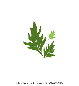 Nature leaf icon and symbol template vector