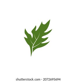 Nature leaf icon and symbol template vector