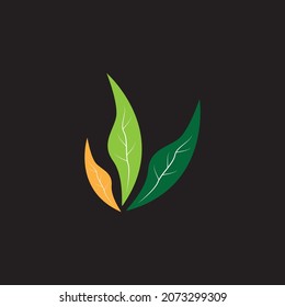 Nature leaf icon and symbol template vector