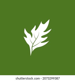 Icono de hoja de naturaleza y vector de plantilla de símbolo
