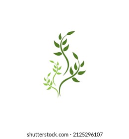 Naturblattsymbol und Symbolvorlage, Vektorgrafik
