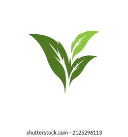 Nature leaf icon and symbol template vector