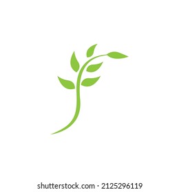 Icono de hoja de naturaleza y vector de plantilla de símbolo