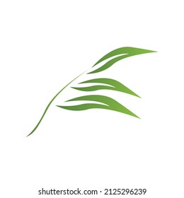 Icono de hoja de naturaleza y vector de plantilla de símbolo