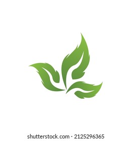 Nature leaf icon and symbol template vector
