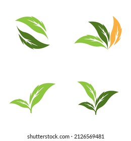 Nature leaf icon and symbol template vector