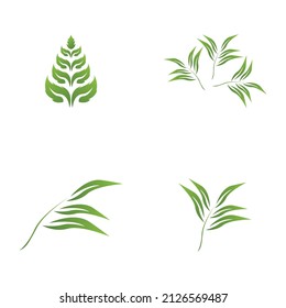 Icono de hoja de naturaleza y vector de plantilla de símbolo