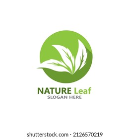 Nature leaf icon and symbol template vector