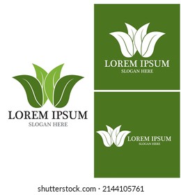 Nature leaf icon and symbol template vector