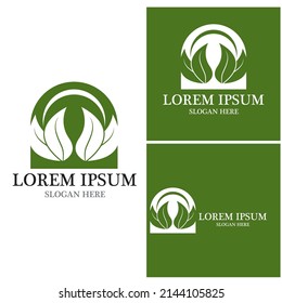 Nature leaf icon and symbol template vector