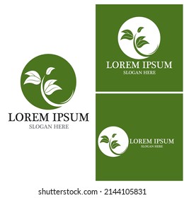 Nature leaf icon and symbol template vector
