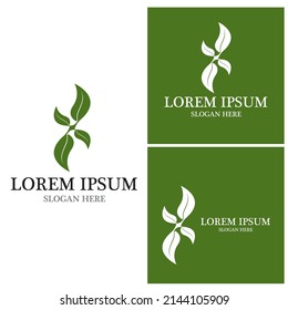 Nature leaf icon and symbol template vector