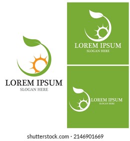 Nature leaf icon and symbol template vector