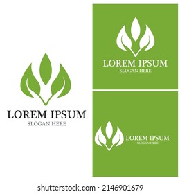 Nature leaf icon and symbol template vector
