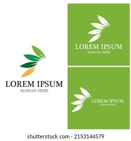 Nature leaf icon and symbol template vector
