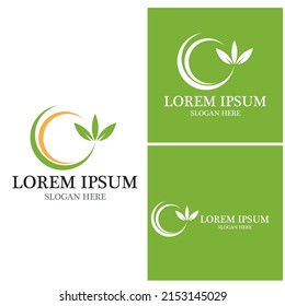 Nature leaf icon and symbol template vector