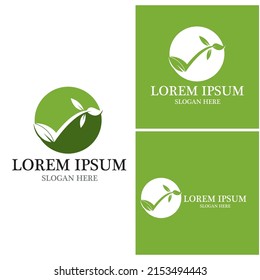 Nature leaf icon and symbol template vector