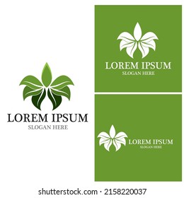 Nature leaf icon and symbol template vector