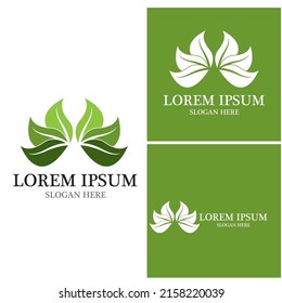 Nature leaf icon and symbol template vector